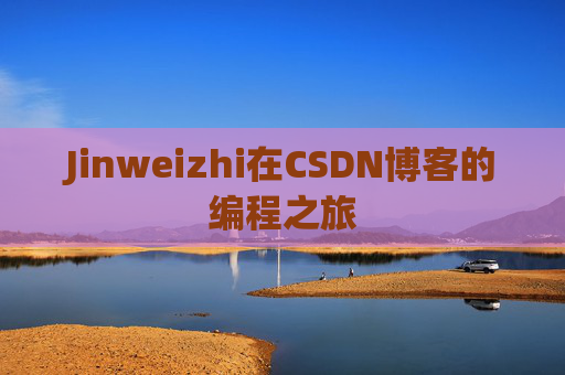 Jinweizhi在CSDN博客的编程之旅
